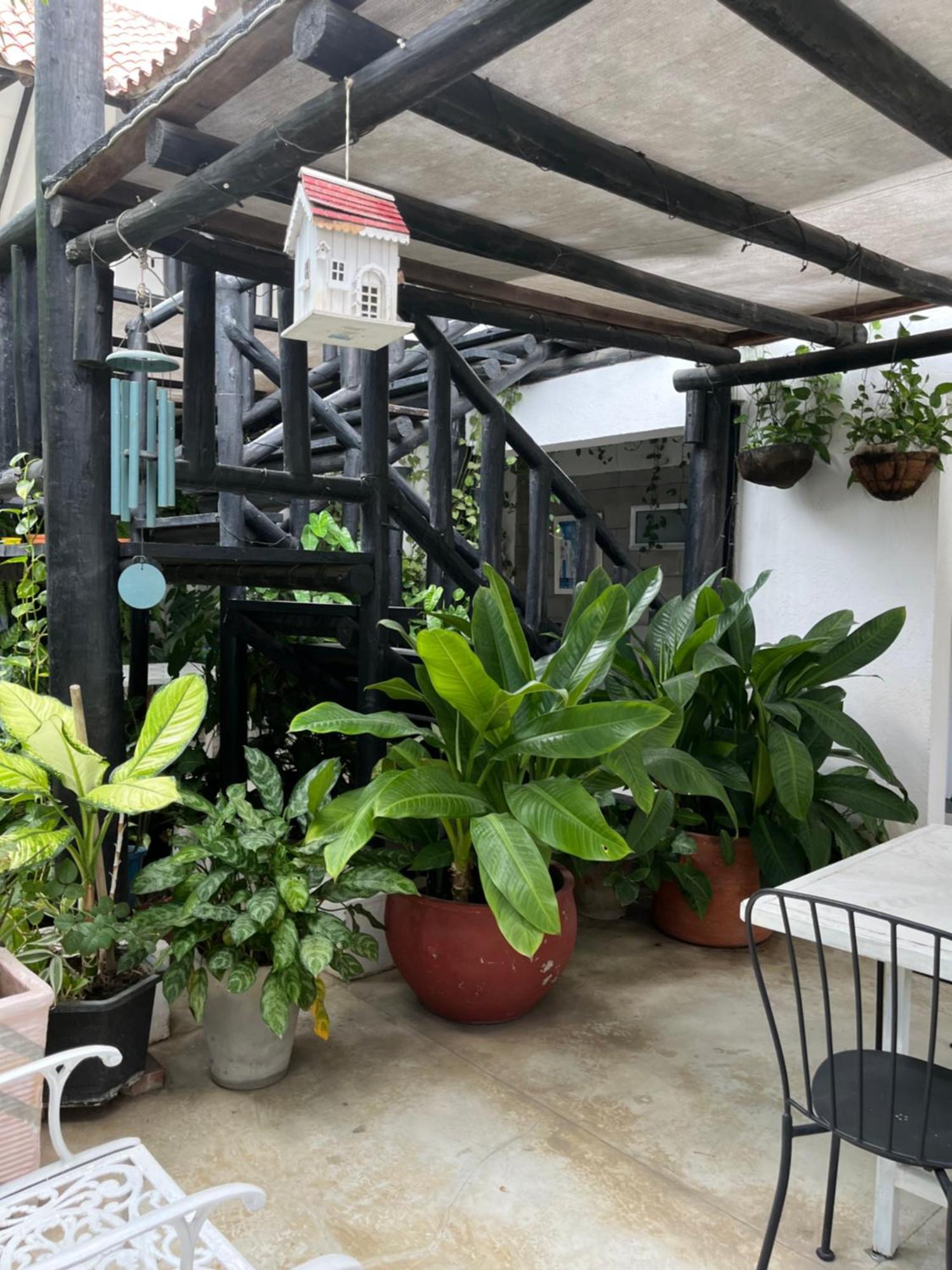 Casa Ines Hotel Santa Marta  Luaran gambar
